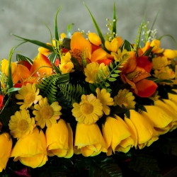 Ритуальна флористика F_18