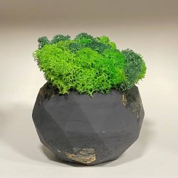 Урна для праха животного_12