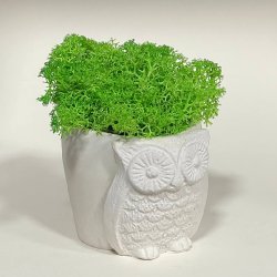 Урна для праха животного_24