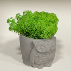 Урна для праху тварини_23