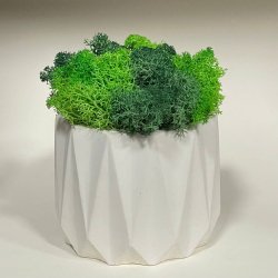 Урна для праху тварини_21