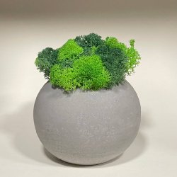 Урна для праху тварини_22