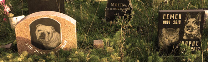 Поховання тварин. Кремація тварин. Київ